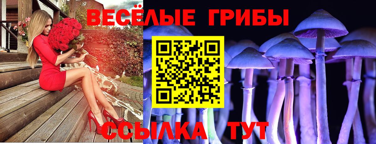 Псилоцибиновые грибы Magic Shrooms Кумертау